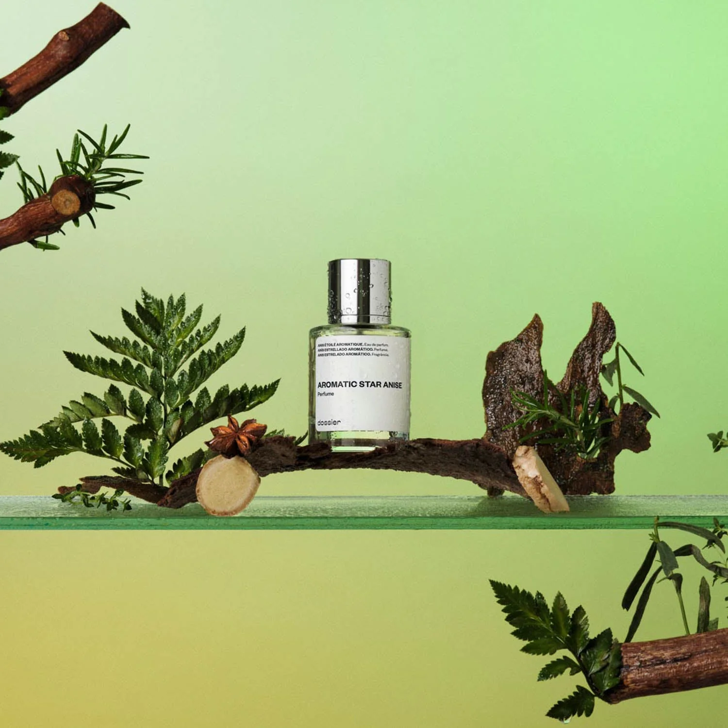 Aromatic Star Anise - Image 3